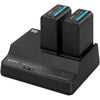 Sony BC-U2A Dual-Bay Battery Charger/AC Adapter for BP-U90, U60, U60T, U30 Lithium-ion battery - Coremicro