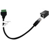 BirdDog RS422/232 RJ45 Adaptor + RJ45 Coupler - Coremicro