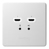 BirdDog Wallplate Dual Output - Coremicro