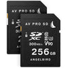 Angelbird Match Pack for Panasonic EVA1 256GB (2-Pack) - Coremicro