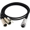 Azden MX-10 Send/Return Breakout Cable for FMX-42a (3') - Coremicro