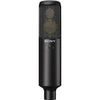 Sony C-100 High-Resolution Two-Way Condenser Microphone - Coremicro